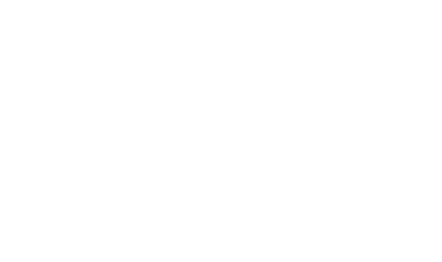Badminton Wheelchair